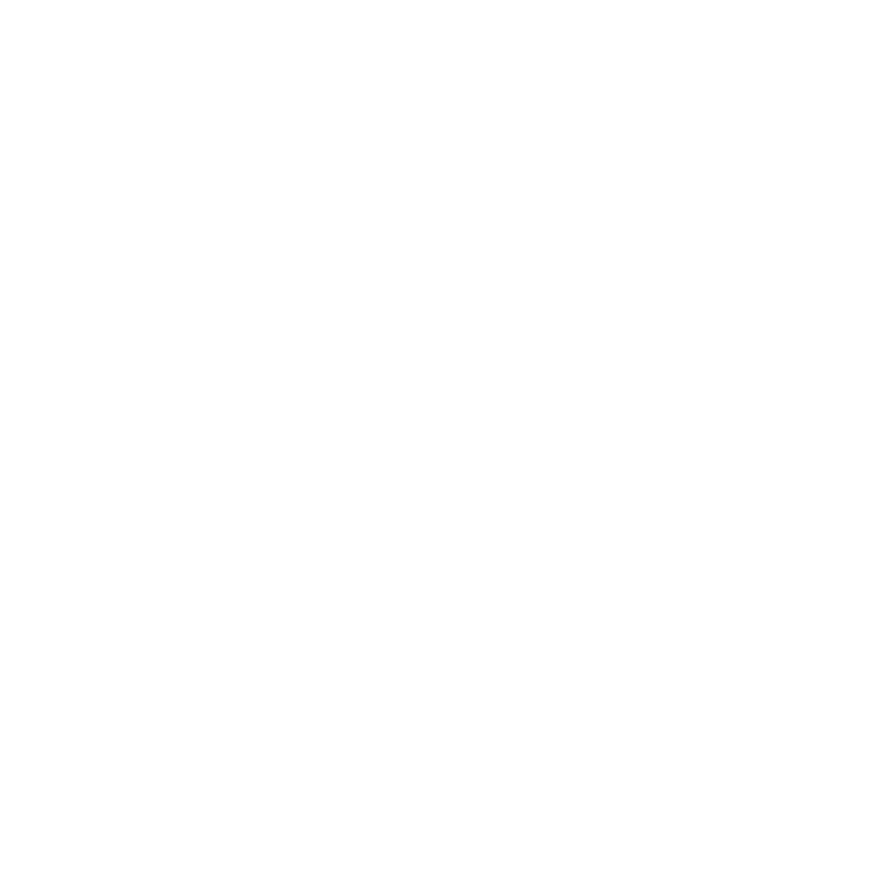SM LIMOUSINE
